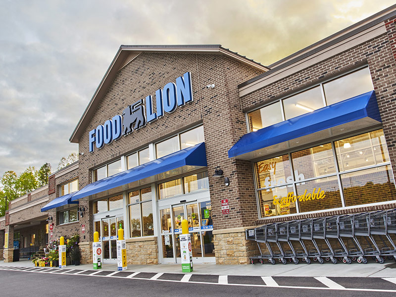 Lion food names without review close gsd agency record store salisbury shop based its