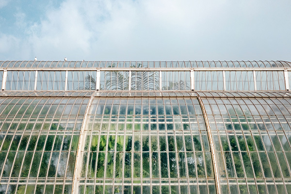 greenhouse greenhouse