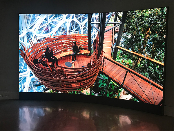 Amazon Spheres Bird Nest