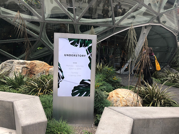 Amazon Spheres Understory