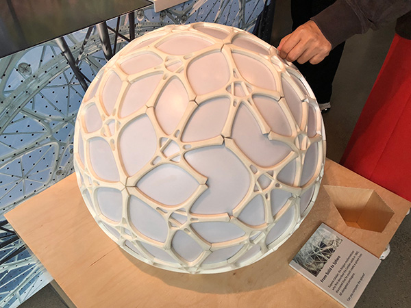 Amazon Spheres Model