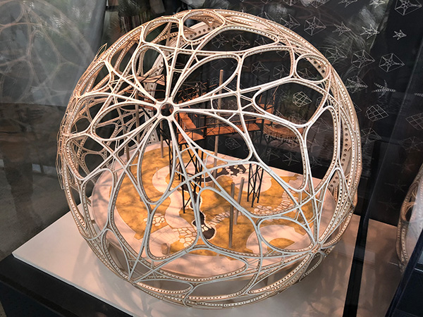 Amazon Spheres Model