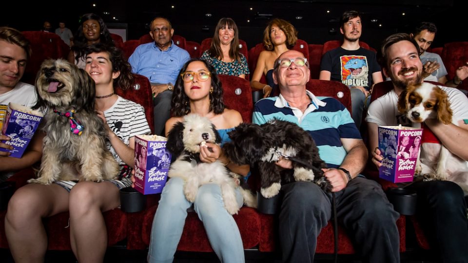 Dog Screening Picturehouse London